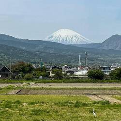 Our last viewing of Mt Fuji on the train heading for Tokyo
