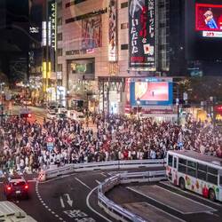 Shibuya Scramble Crossing at night