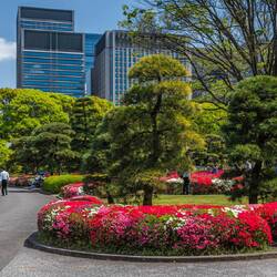 The Imperial Palace Gardens