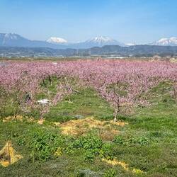 Scenery from train after leaving Yudanaka Onsen