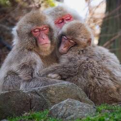 Siesta time