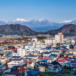 View from our hotel at Yudanaka Onsen