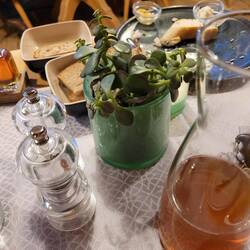 Momma! They had a jade plant on the table as decoration!!