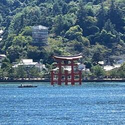 Torii Gate