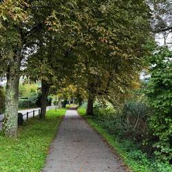 Radweg zu Altstadt Insel Lindau