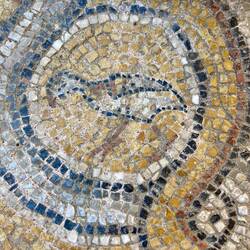 Millionen von Füßen darüber gelaufen, ein haltbarer Vogel.