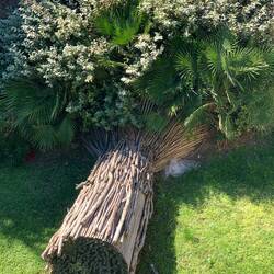 Insektenhotel mal anders