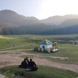 Swissness mit Wiese, unzähligen Bäumen und kleinem Bergsee