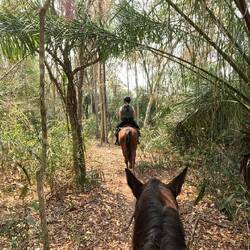 Zum Glück kennt Tanja's 'Baby' den Weg