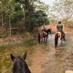 Kurzer Plansch- und Trinkstopp für die Pferde