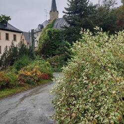 Start in Hirschberg