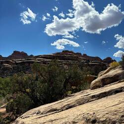 Canyonlands hiking in the "Needles District".