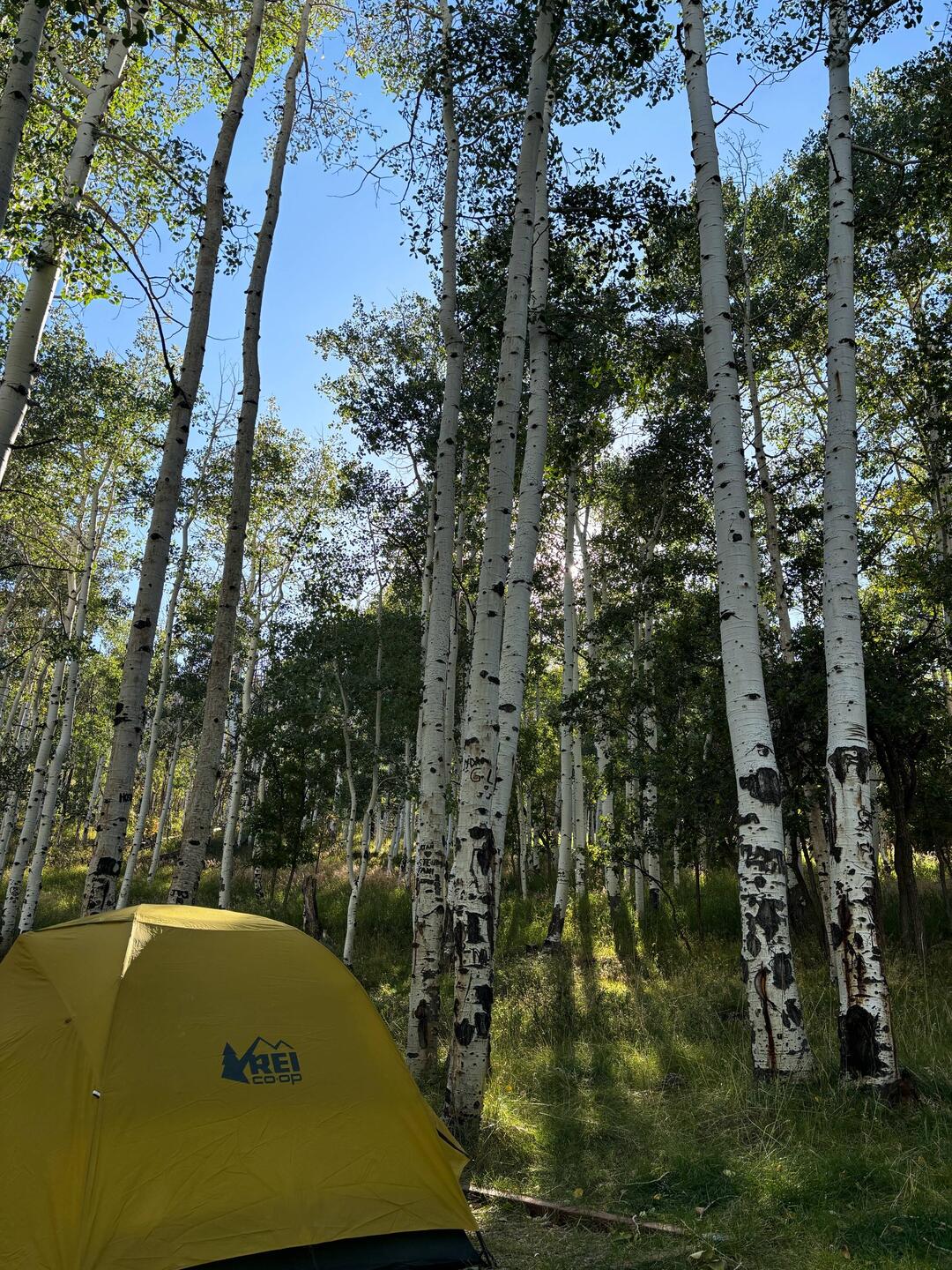 My most favorite camping spot in Manti La Sal NF
