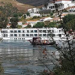 Bateau croisière. Y en a plein