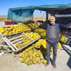 Ahmed, der Gemüseverkäufer