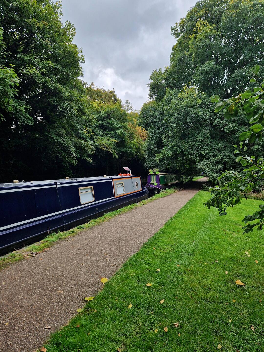 Moored underneath the sycamore beside Paul and Yvette