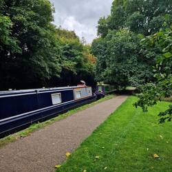 Moored underneath the sycamore beside Paul and Yvette