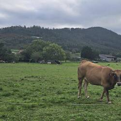 One of the local residents was surprised to see us