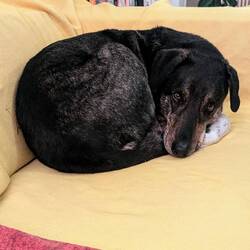 Happy couching again 😂