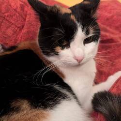 Da freut sich jemand....wir haben sie auch sehr vermisst 😘