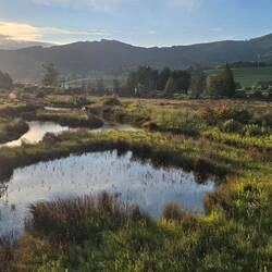 Views of the wetlands and Cantabrian Mountains from a bird hide