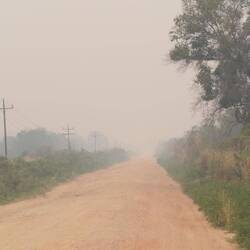 Über dem ganzen Pantanal liegt der Rauch der geplanten und ungeplanten Feuer