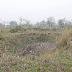 Die ungewöhnliche Trockenheit hat viele natürliche Gewässer komplett ausgetrocknet