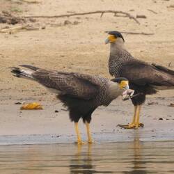 Ein kleiner Snack hat noch niemandem geschadet