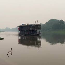 Mit dem Kayak Capybaras beobachten