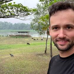 Capibaras grasen direkt in unserem Vorgarten