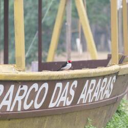 Scheinen auch gute Esser zu sein