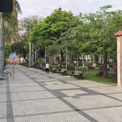 Plaza & Shopping Mall