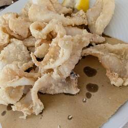 Fritura solo calamari