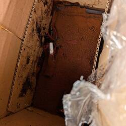 Löscafe sei Dank wurde in der mitgelieferte Essig weitgehend aufgenommen.