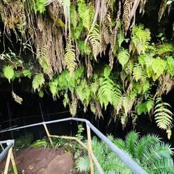 Auch eine Lavahöhle gehört dazu 🌋