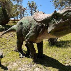 Auf der Anlage stehen verschiedene lebensgroße Dinos