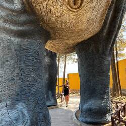 Scheint im Vergleich zu uns ganz schön groß gewesen zu sein