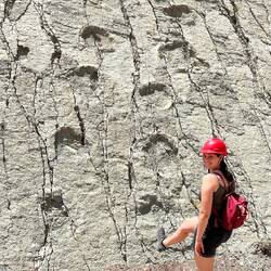 Tanja scheint nicht die Übeltäterin zu sein