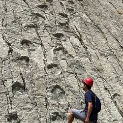 So muss es irgendwie passiert sein