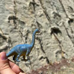 War er hier der Übeltäter?