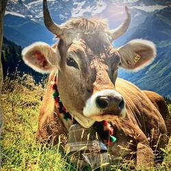 Marschhalt uf de Raststätt Glarnerland