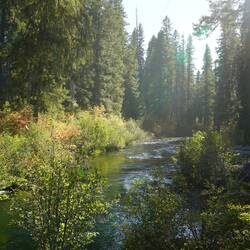 Heutiger Übernachtungsplatz mit guter Begleitung.