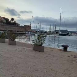 Video an Olli gewidmet, der immer Werbung für Allghero macht