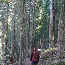Abstieg vom Berg und Höhlenausgang.
