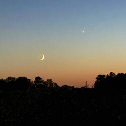 Crescent 🌙 moon and a star... might be a planet.