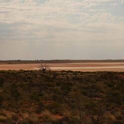 Curtin Springs Salzpfanne