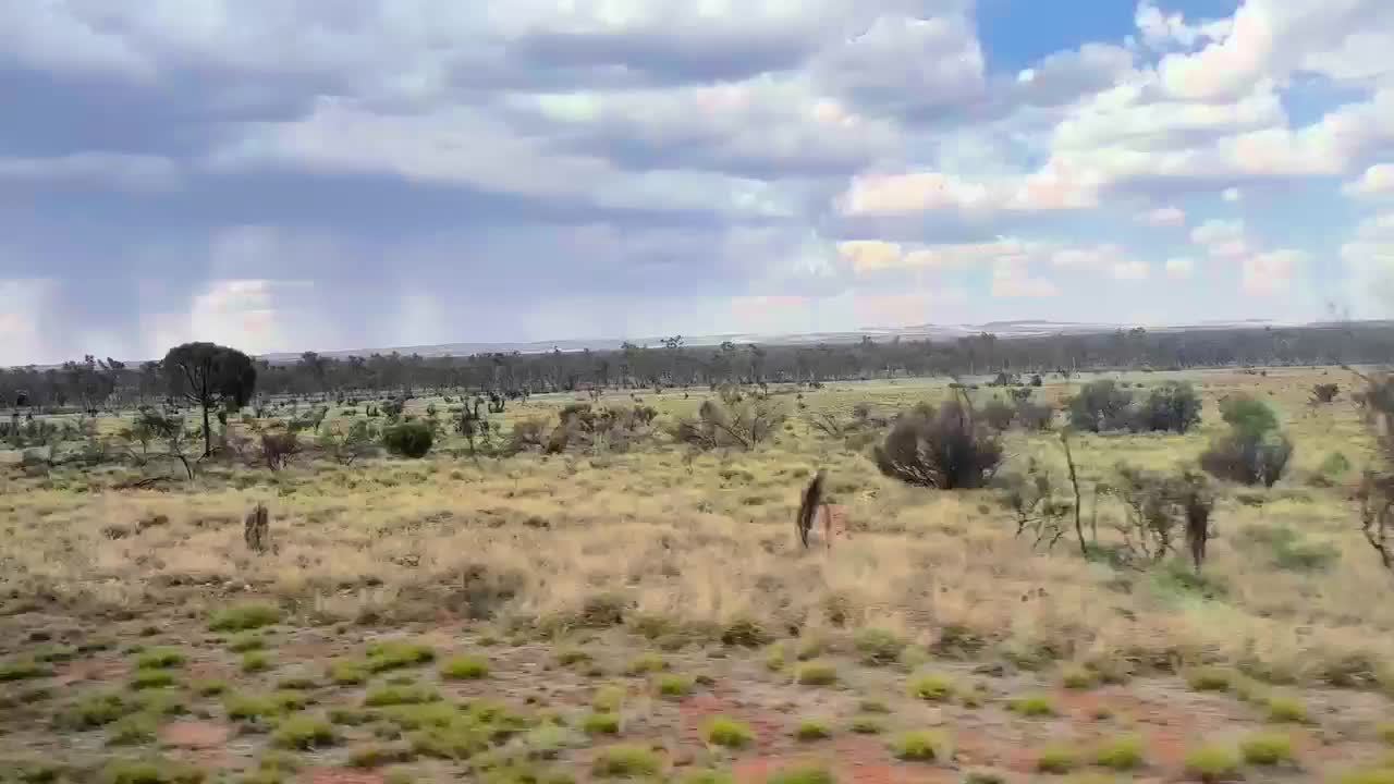 Auf der Fahrt zieht mal wieder Regen auf