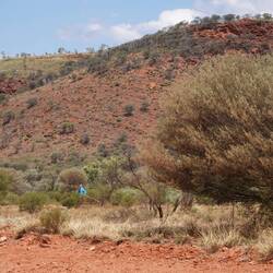 Wir sammeln Feuerholz für die Nacht
