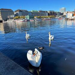 Binnenalster