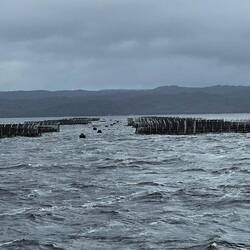 Multiple fish farms are in the bay -- primarily trout & salmon.